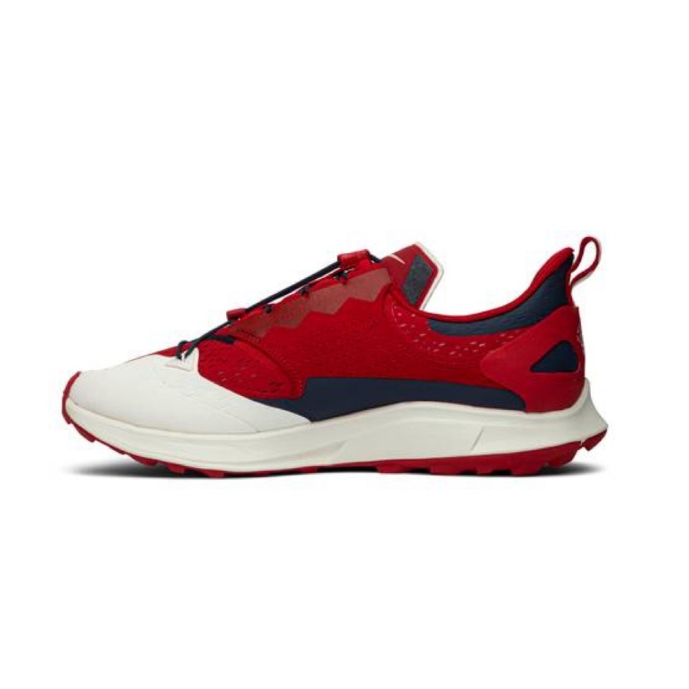Nike Gyakusou Air Zoom Pegasus 36 Trail - Picture 5 of 9